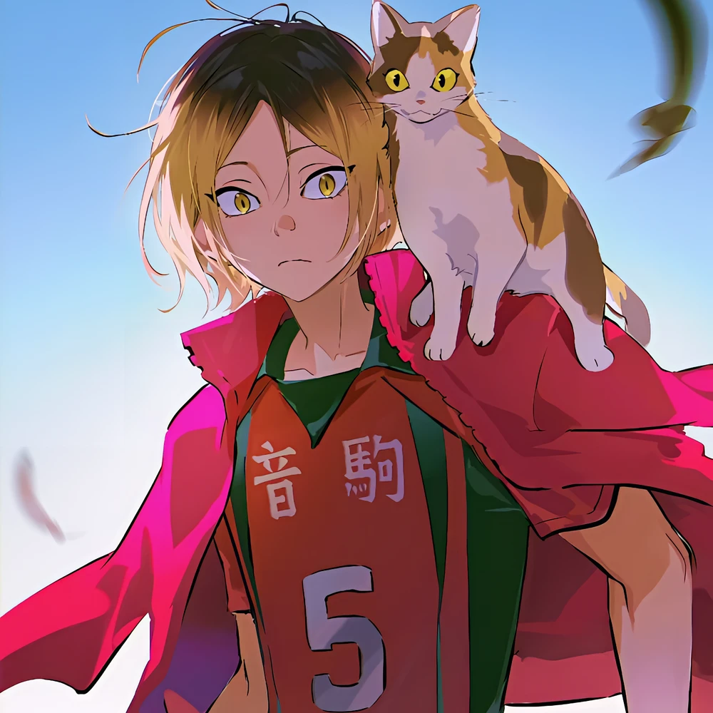 孤爪研磨 孤爪研磨